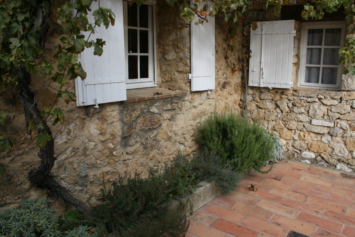 le jardin aromatique des plantes provençales