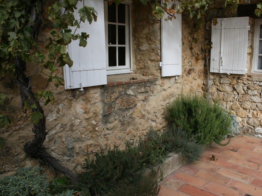 le jardin aromatique des plantes provençales