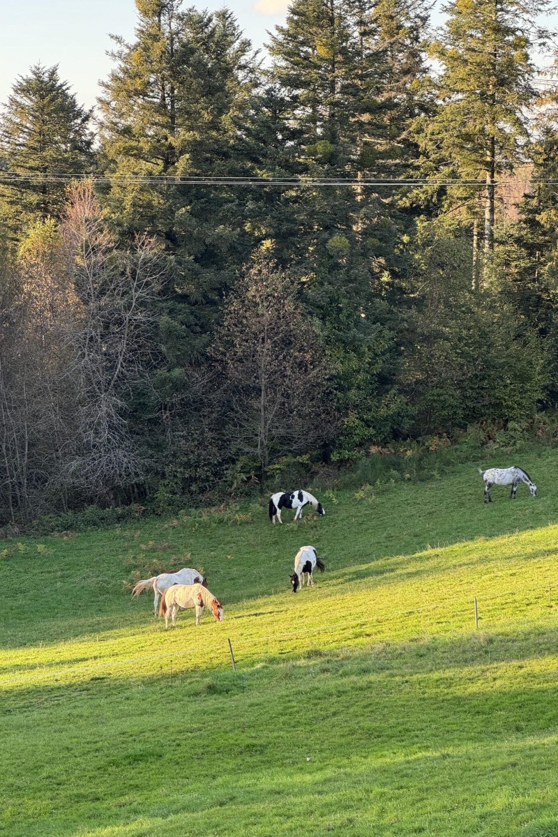 Photo n° 17 de la location