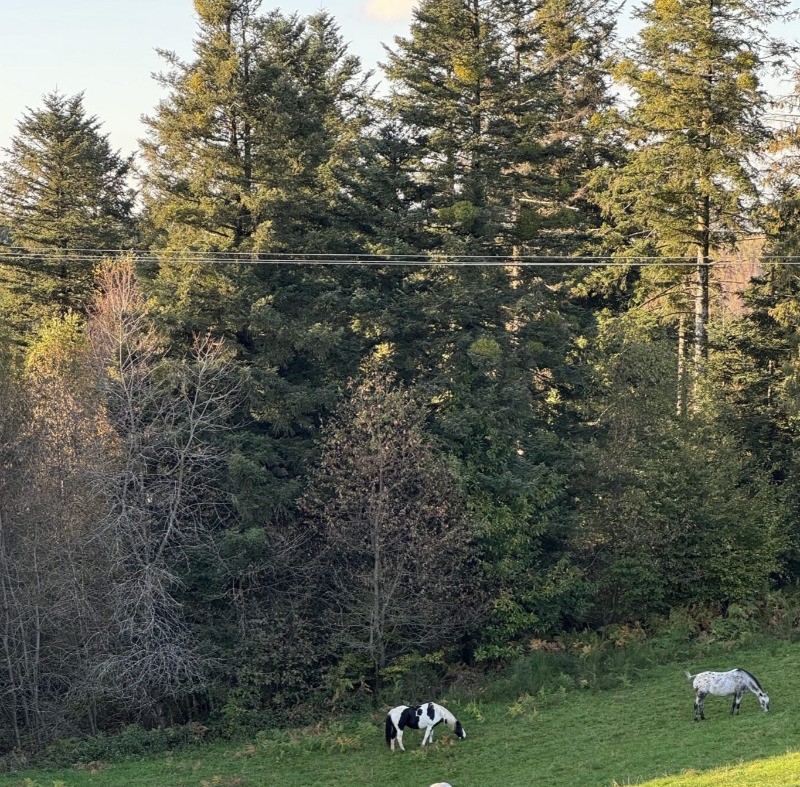 Photo n° 17 of the location