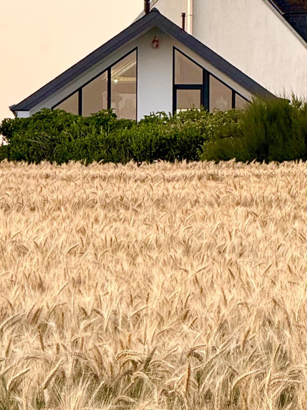 Photo n° 15 of the location