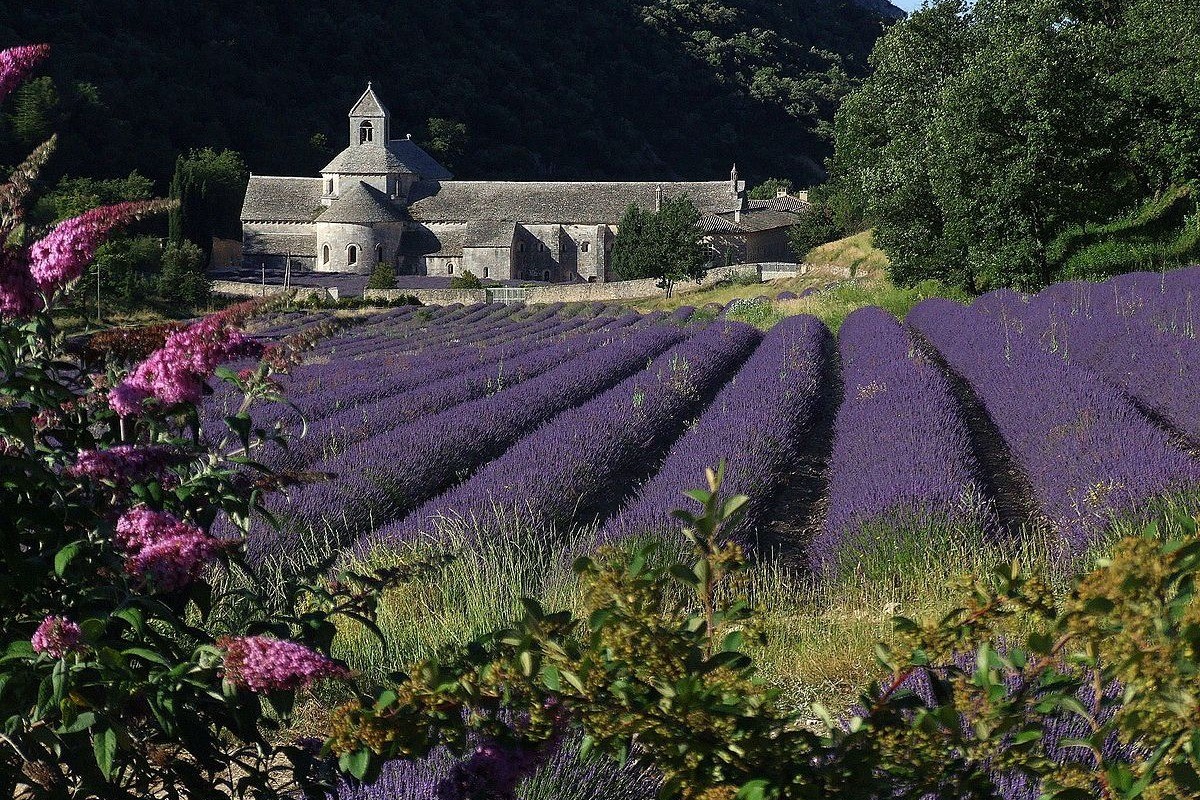 Abbaye Sénanque