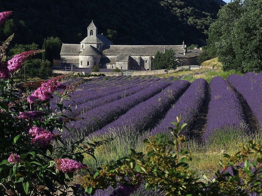 Abbaye Sénanque