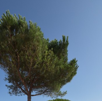 les allées internes à la résidence