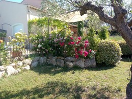 Image n° 5 de la location
