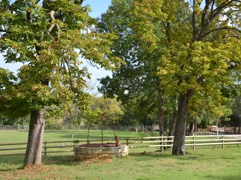Domaine Mas du Pont