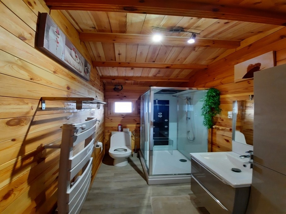 shower room and wc