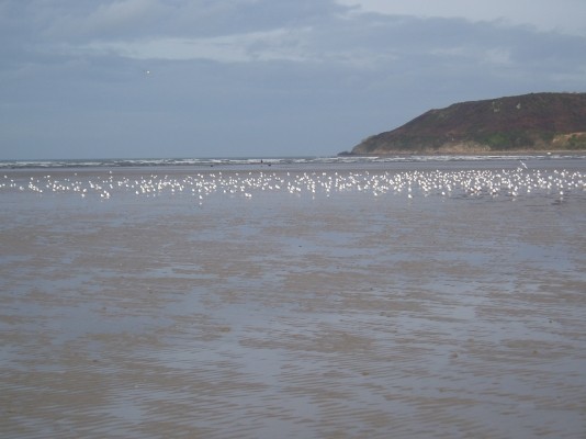 Photo n° 19 de la location