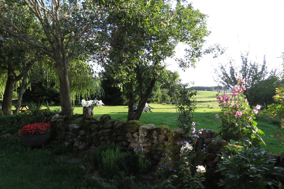 Le parc en été