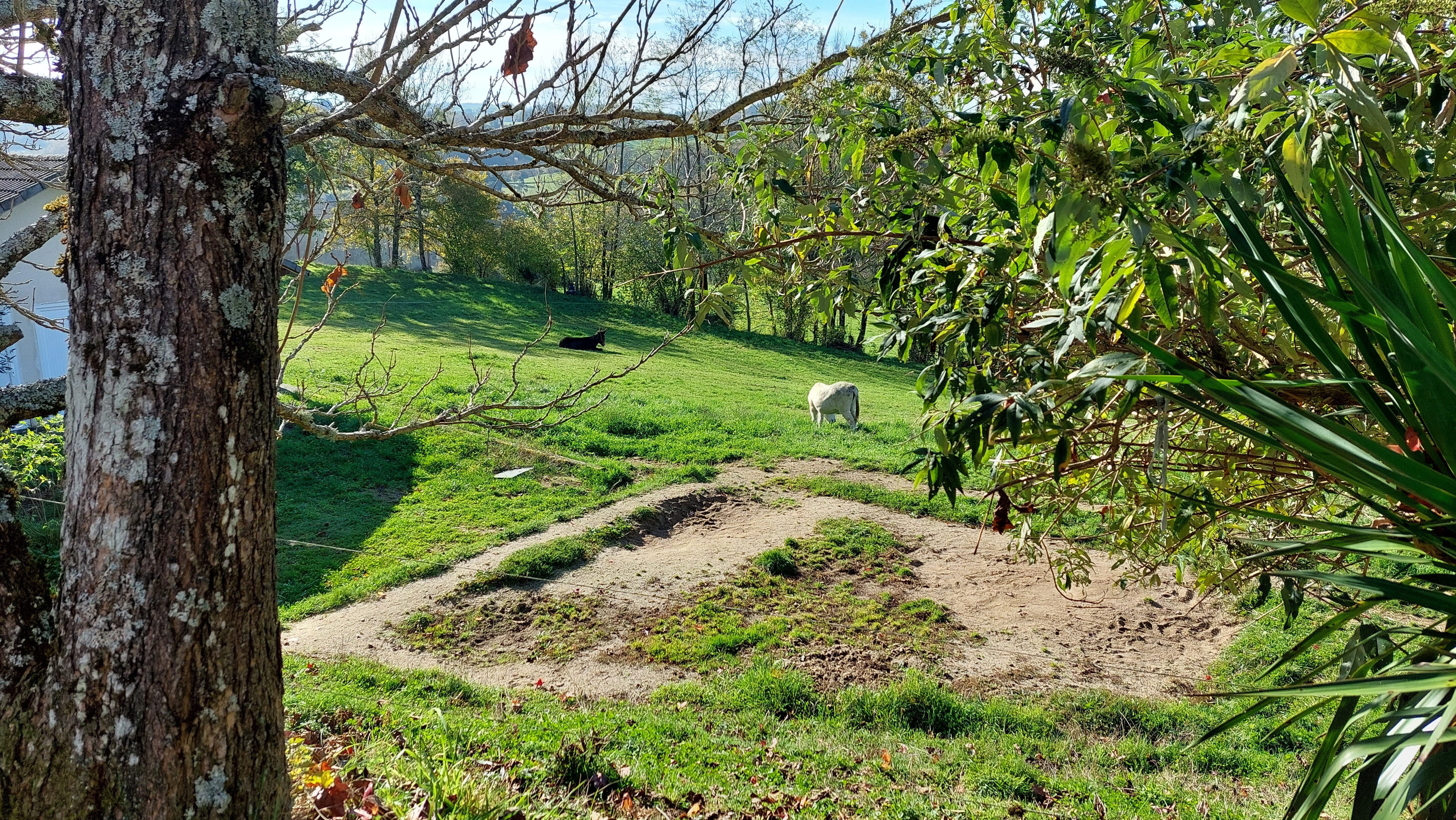 Photo n° 6 de la location
