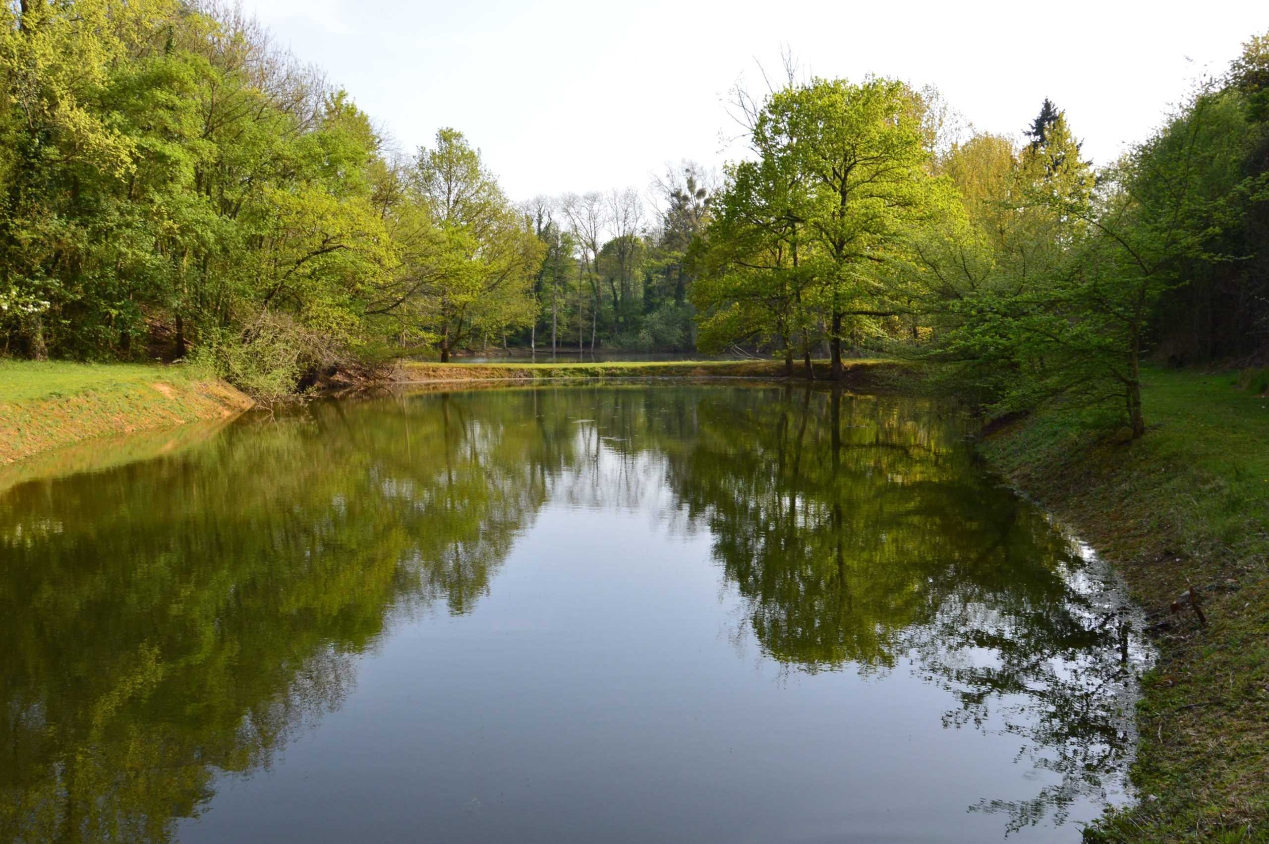Photo n° 9 of the location