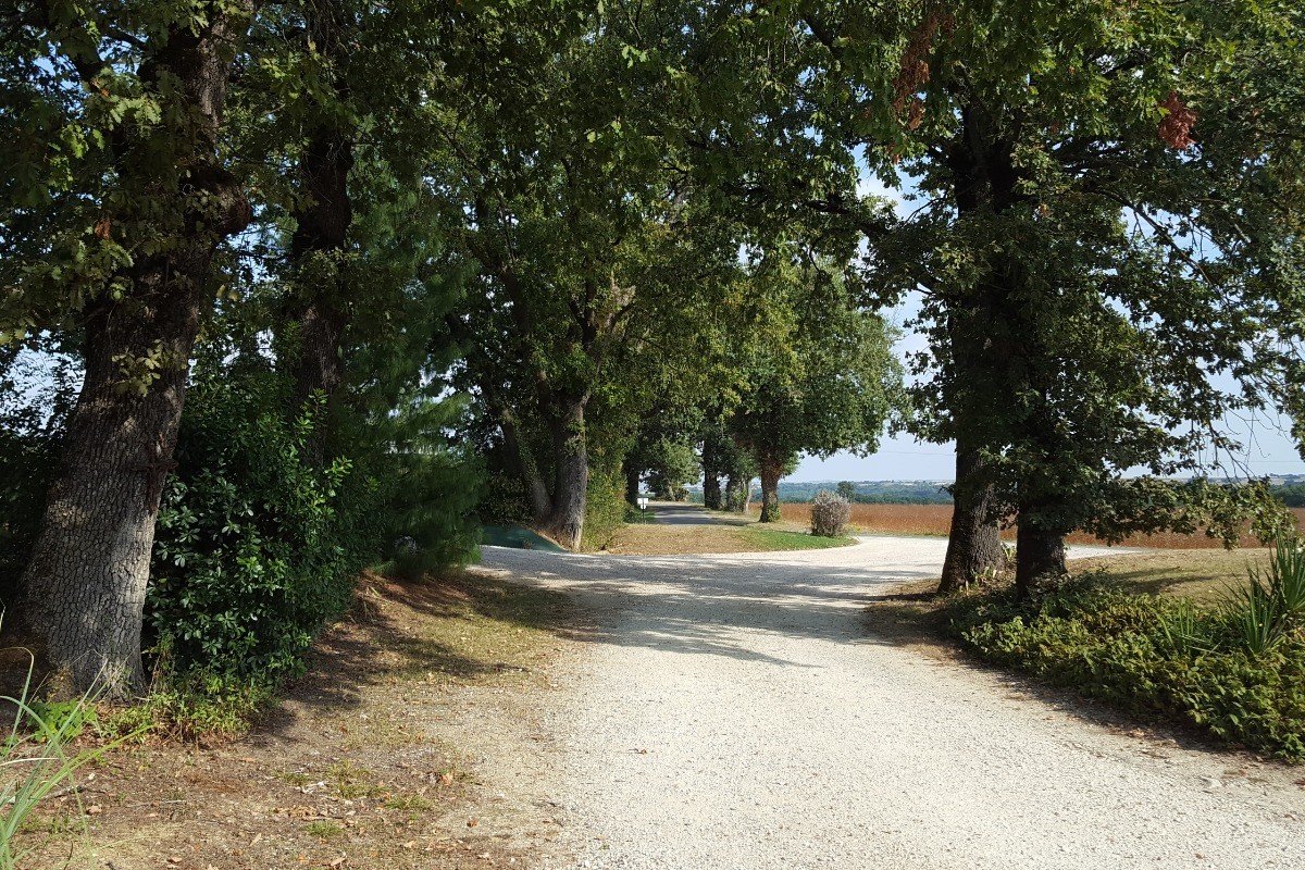 Photo n° 16 de la location
