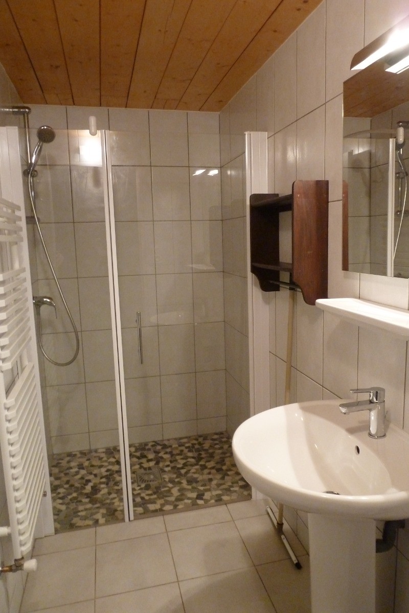 Ground floor shower room - Apt. Coquelicots - Domaine Moulin des Courbières between Bresse and Gérardmer