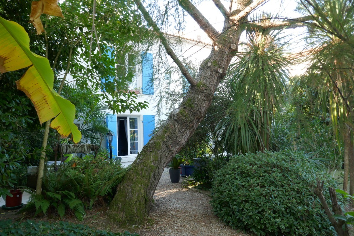Le jardin arboré