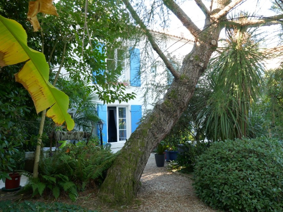 Le jardin arboré