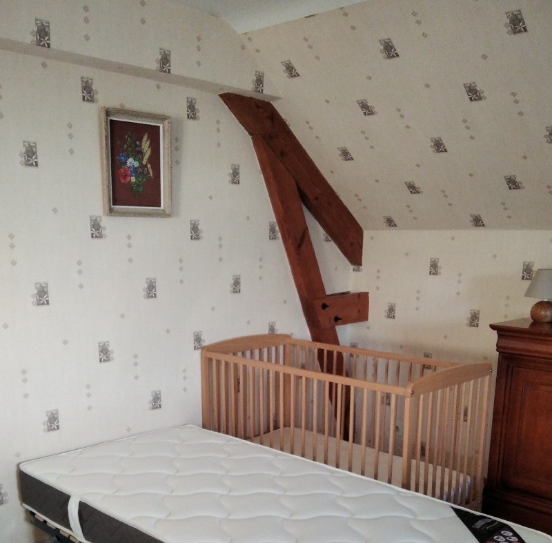 Lit adulte + lit bois bébé dans séjour.