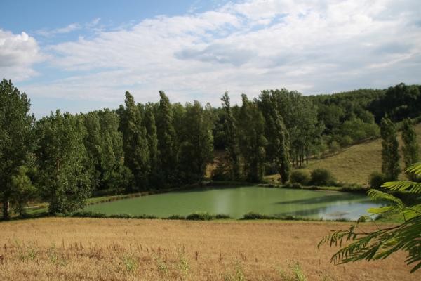 Le lac vu du gite