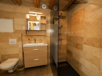 Salle d'eau avec douche italienne et wc - Chambre Esprit Cabane - L'Hôtel Enfoncée Chambres et Table d'hôtes Le Val d'Ajol