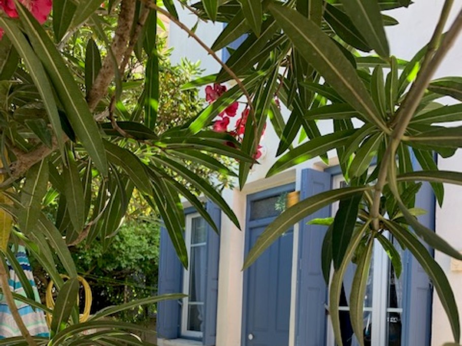 Photo n° 2 de la location