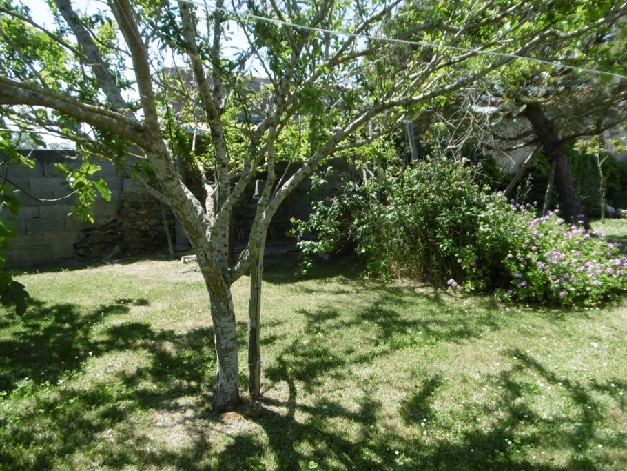 Photo n° 4 de la location