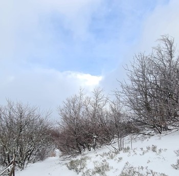 Environnement- Chalet Salamandre