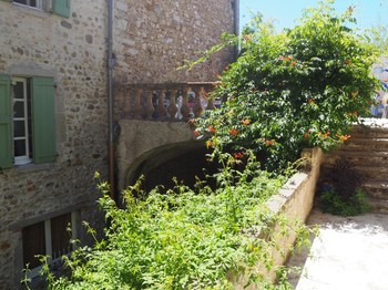 Photo n° 8 de la location