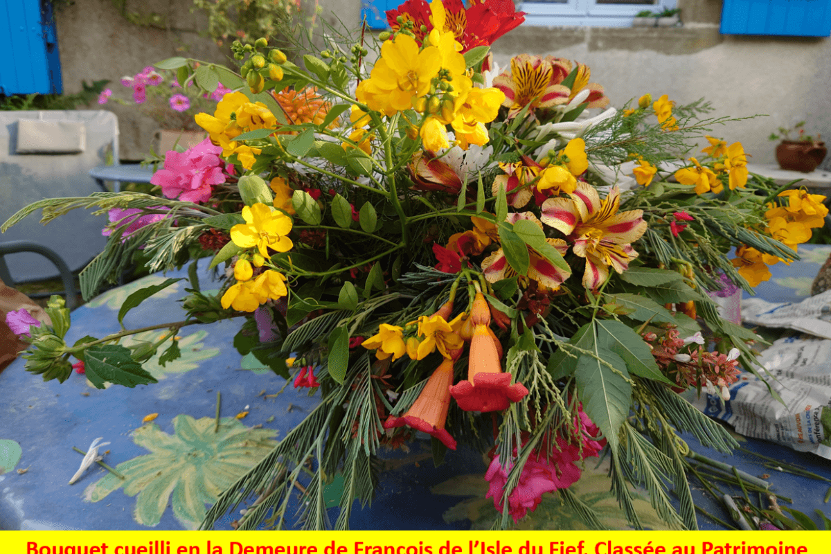 Bouquet des fleurs de la Joséphine.