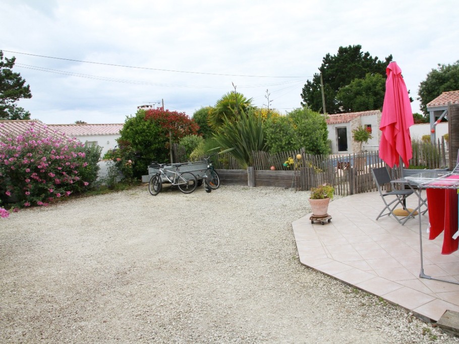 Cour arborée et terrasse
