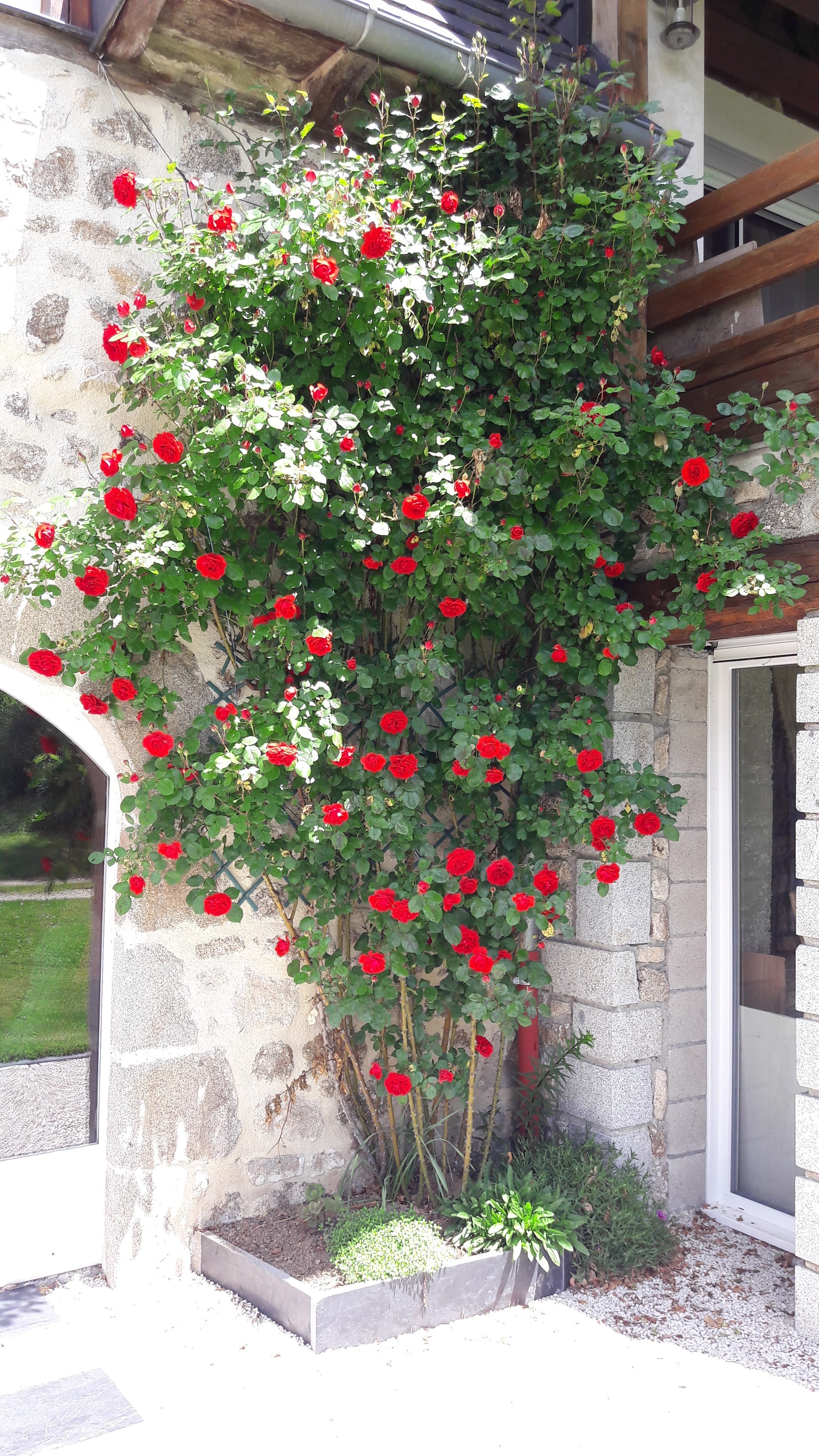Photo n° 9 de la location