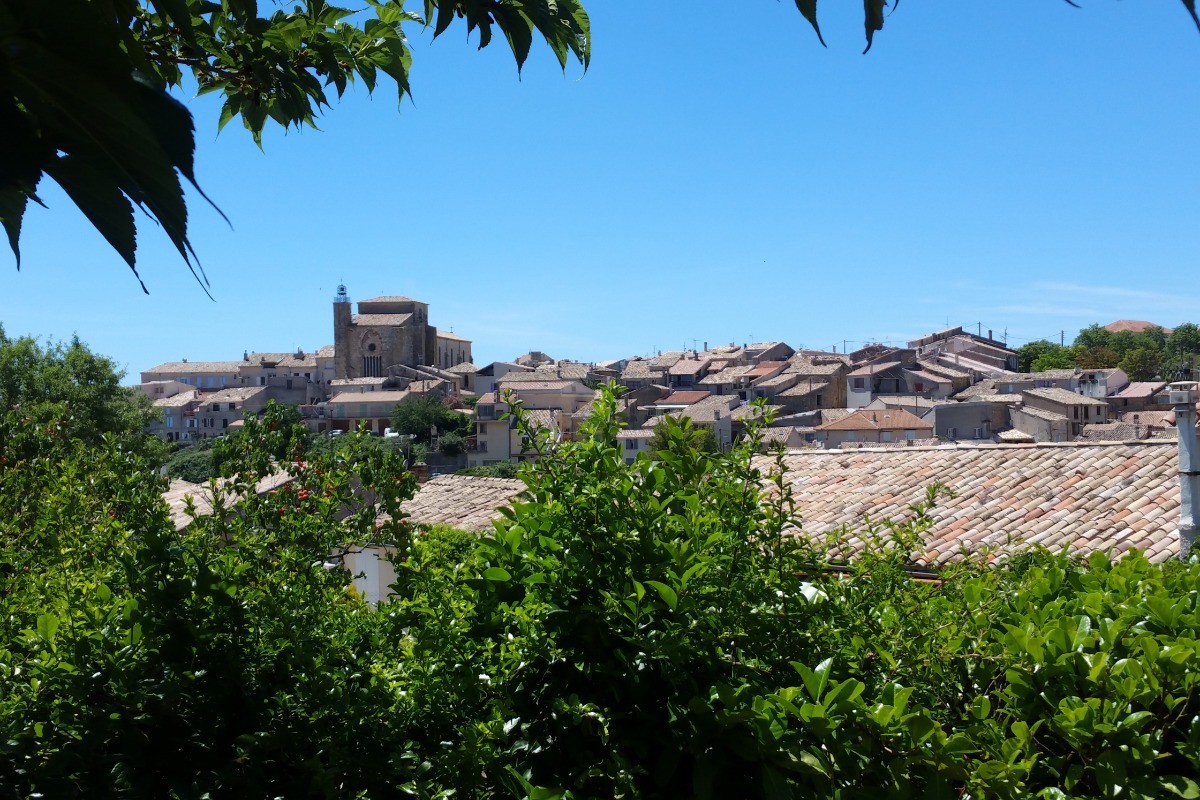 Vue sur Valensole