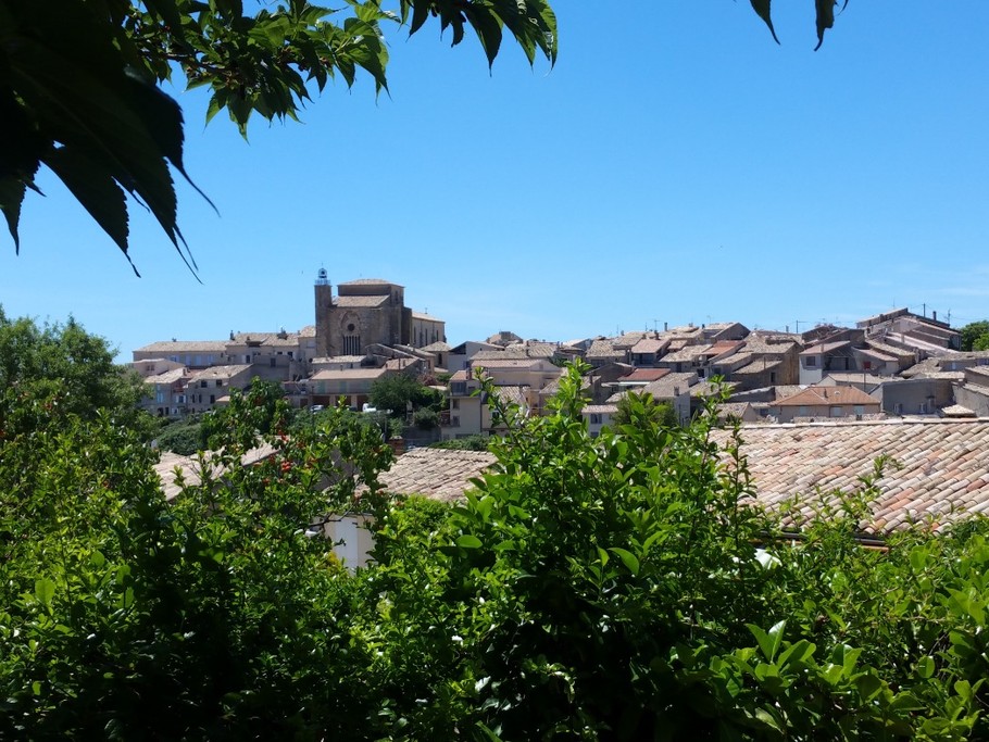 Vue sur Valensole