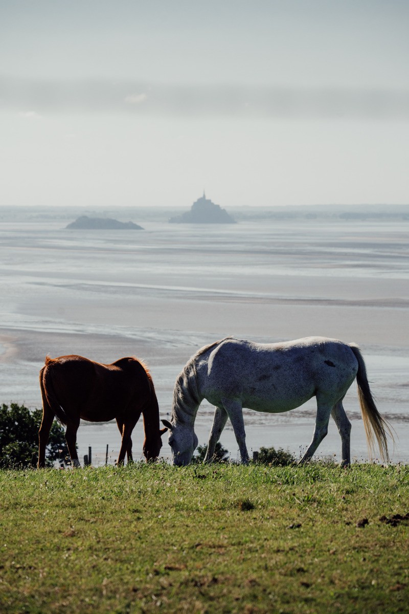 Falaises de champeaux avec la vue sur le Mont St Michel - © Xavier Lachenaud - Attitude Manche