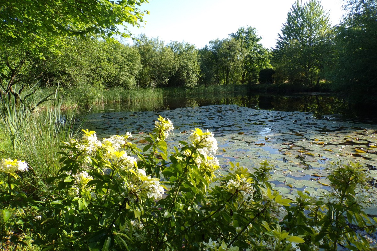 L'ETANG