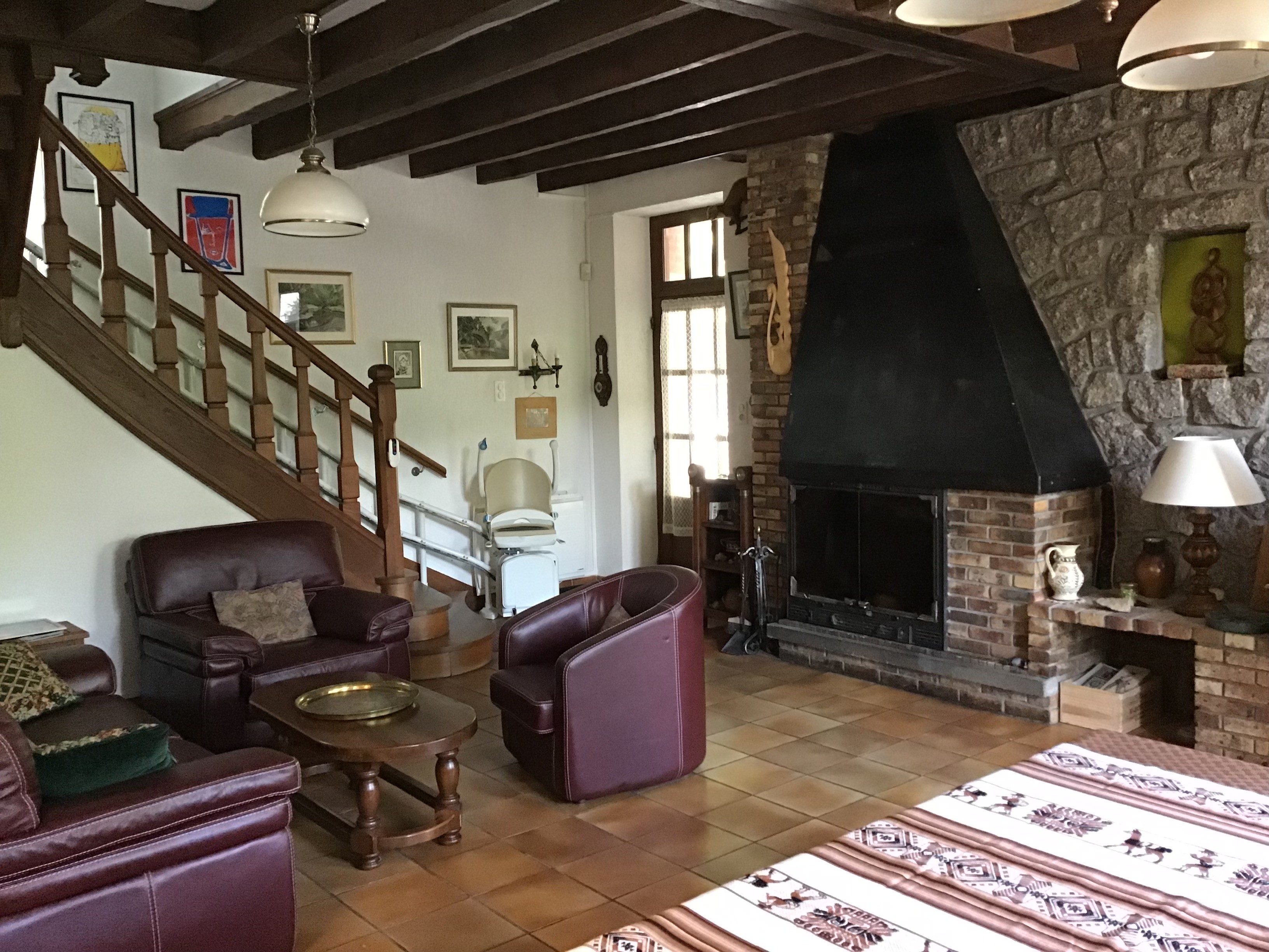 Salon avec cheminée (foyer fermé)