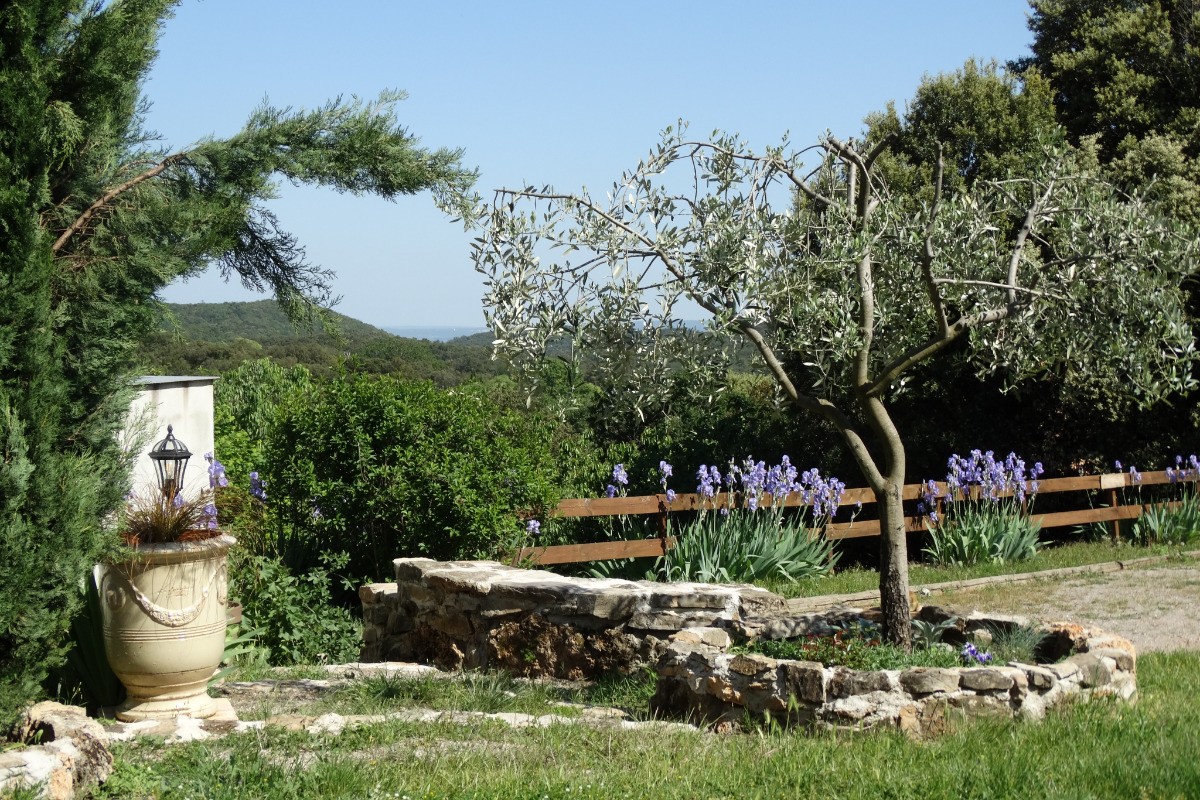 Photo n° 15 of the location