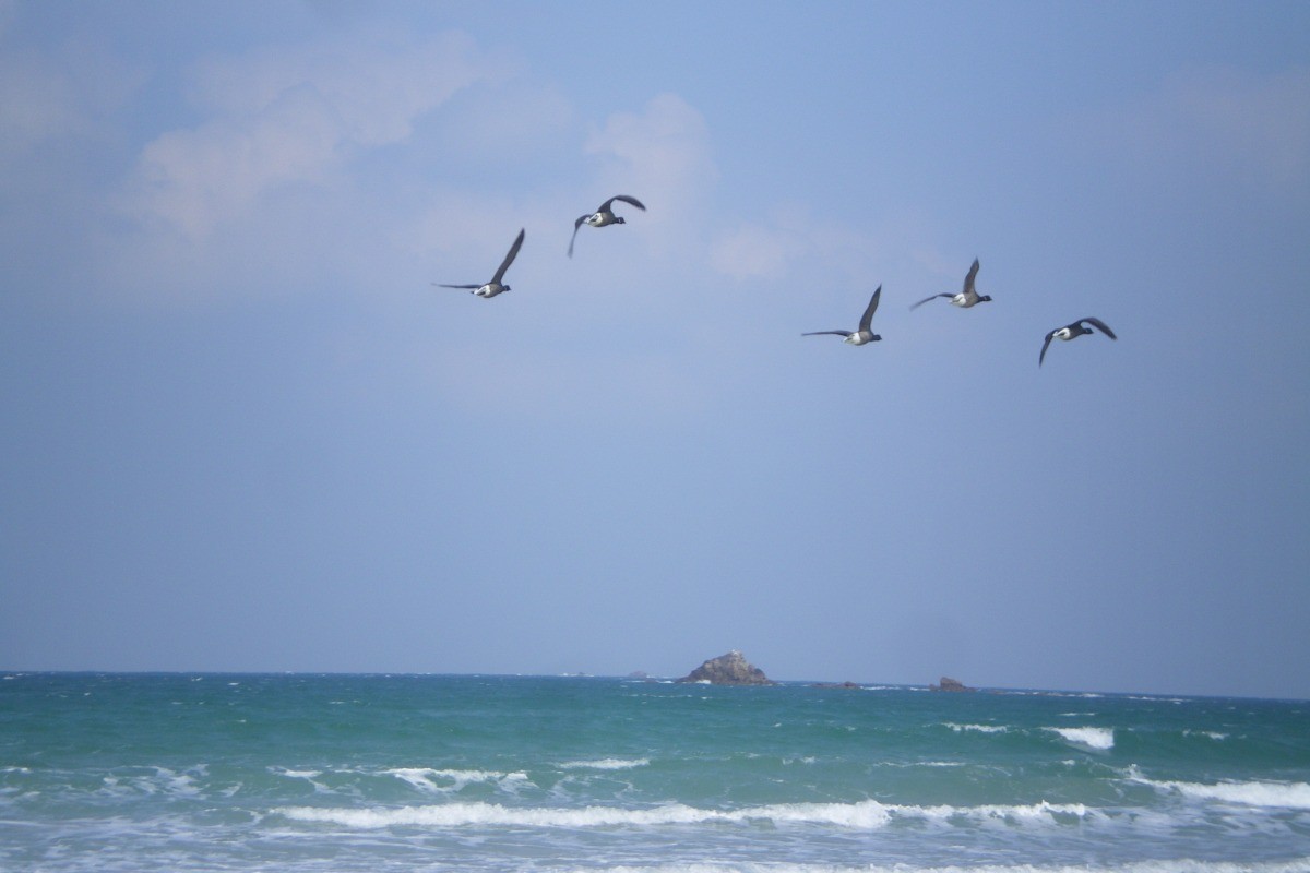 Photo n° 14 de la location