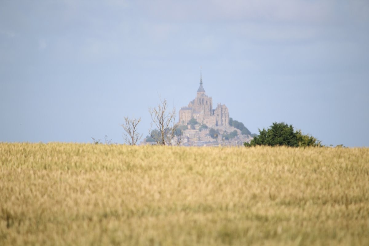 Photo n° 8 de la location
