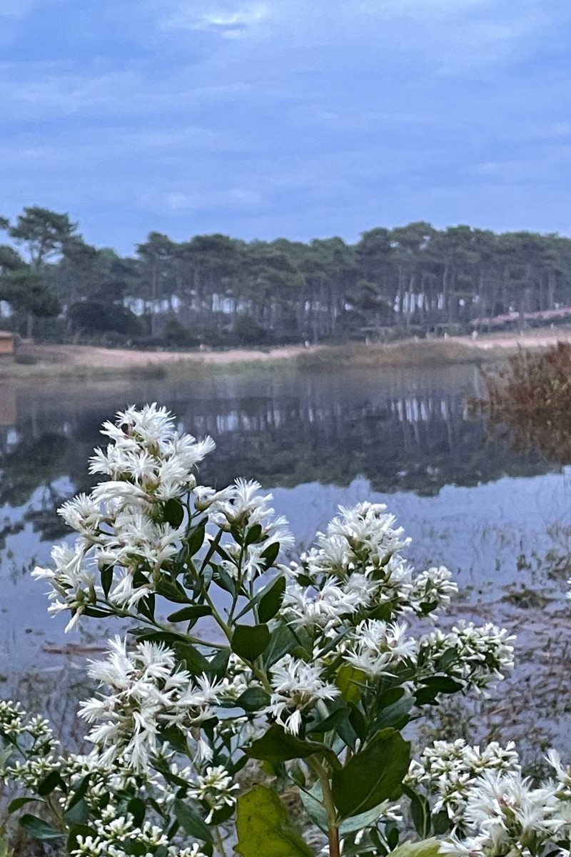 Photo n° 13 de la location