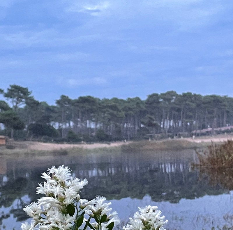 Photo n° 13 de la location