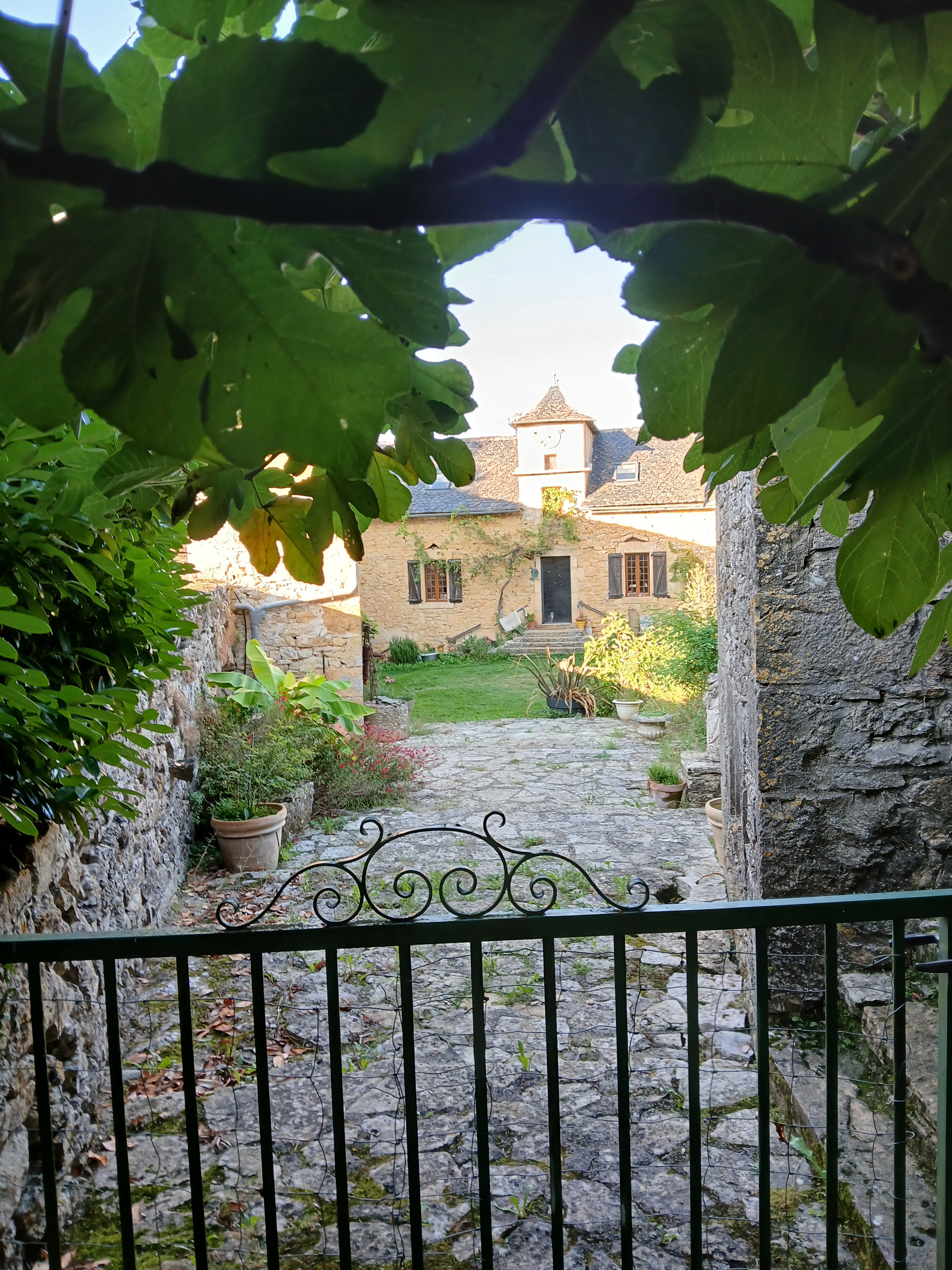 Photo n° 5 de la location