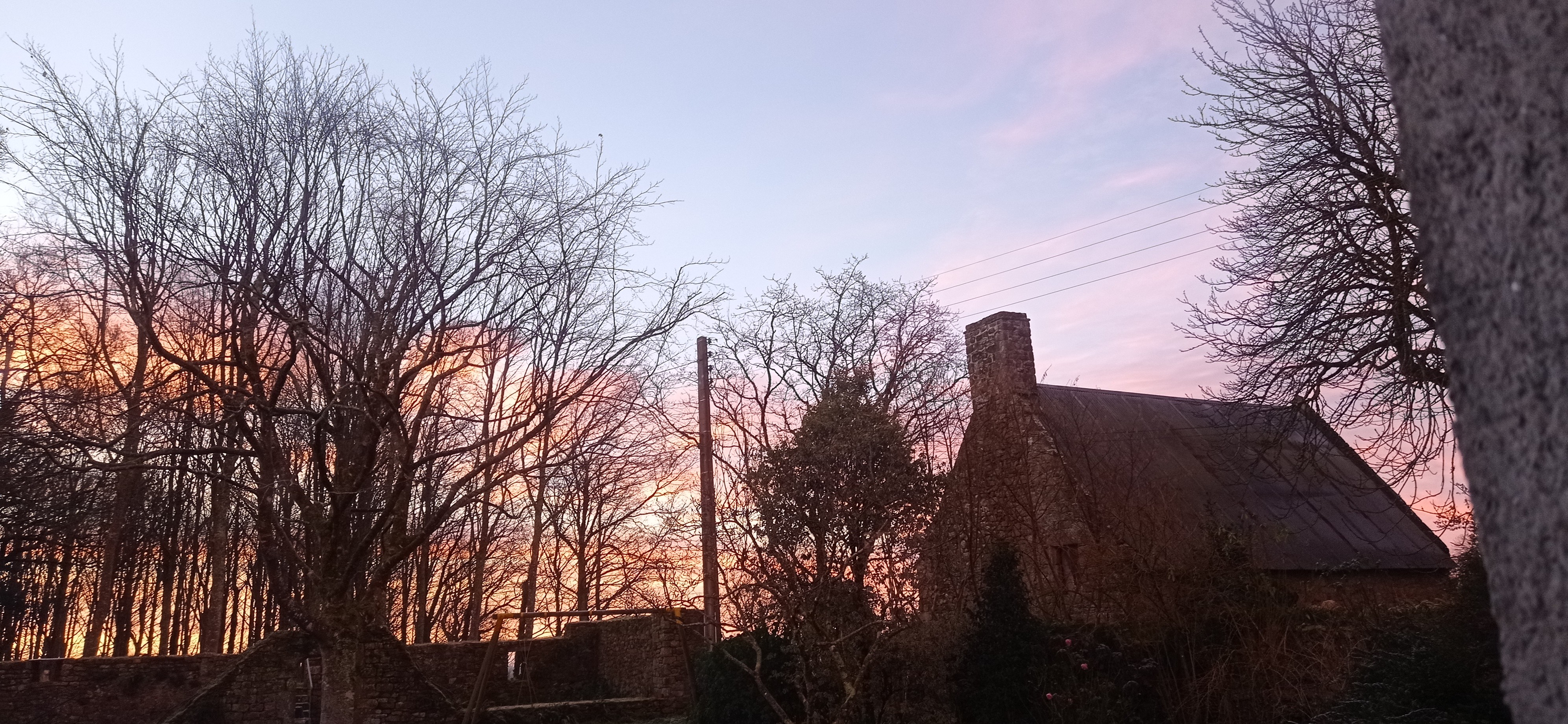 Kermain (2) January 25