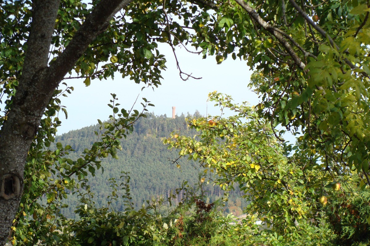 Photo n° 16 of the location