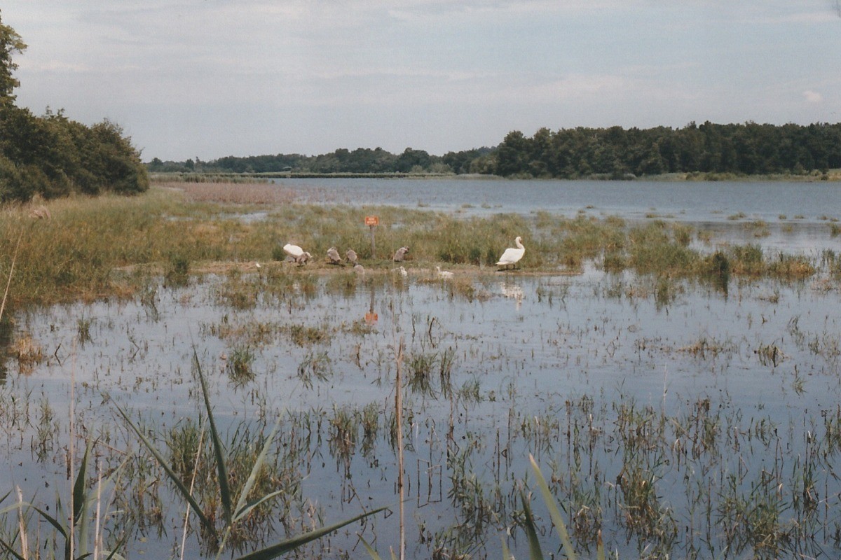 Photo n° 18 de la location
