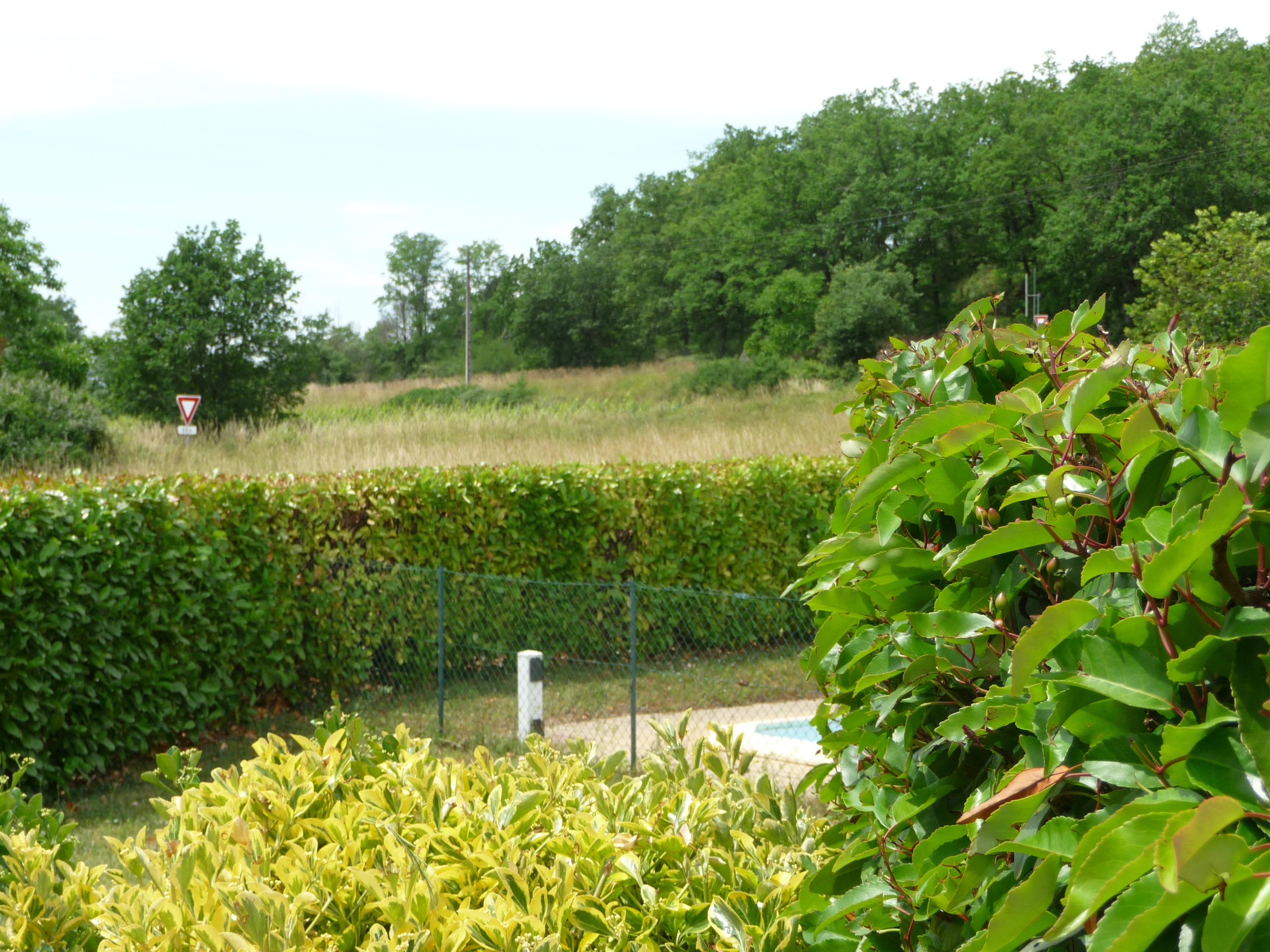 Photo n° 11 de la location