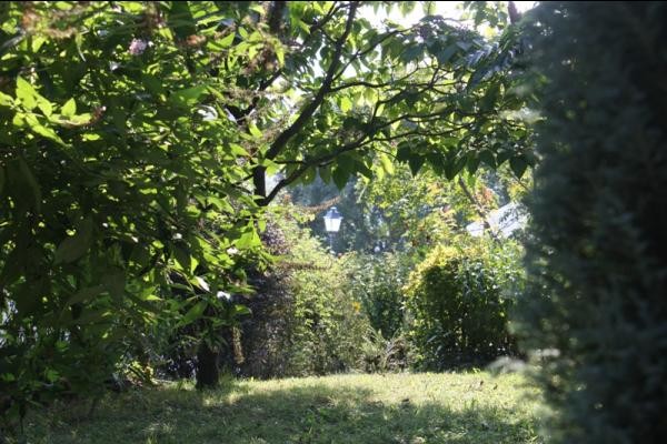 Le jardin en été -the garden in Summer