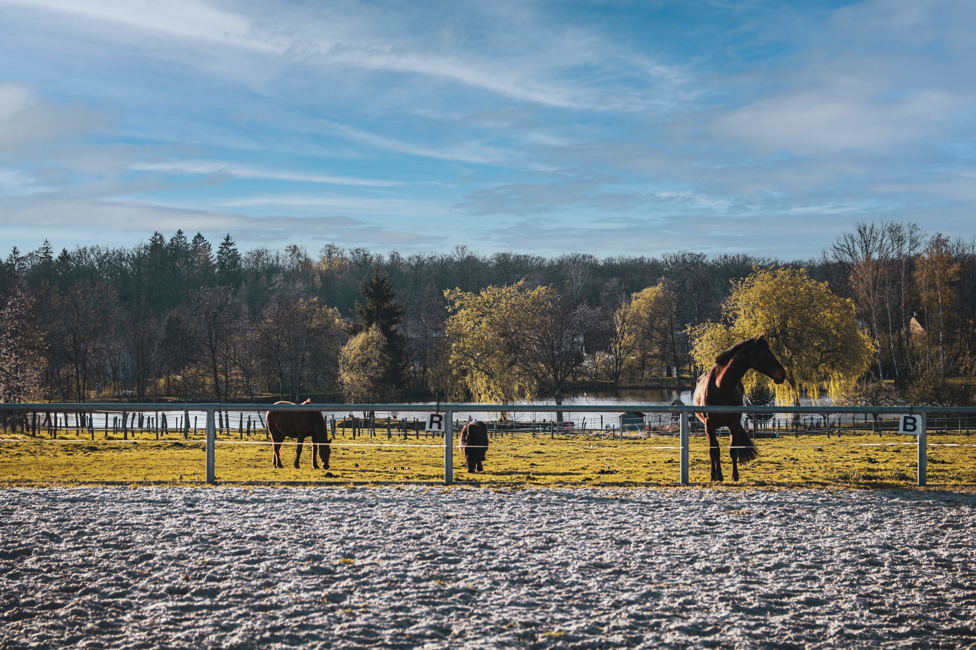 Photo n° 8 de la location