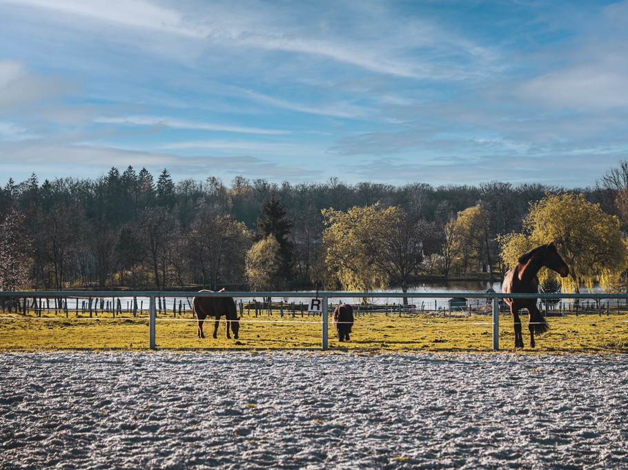 Photo n° 8 de la location