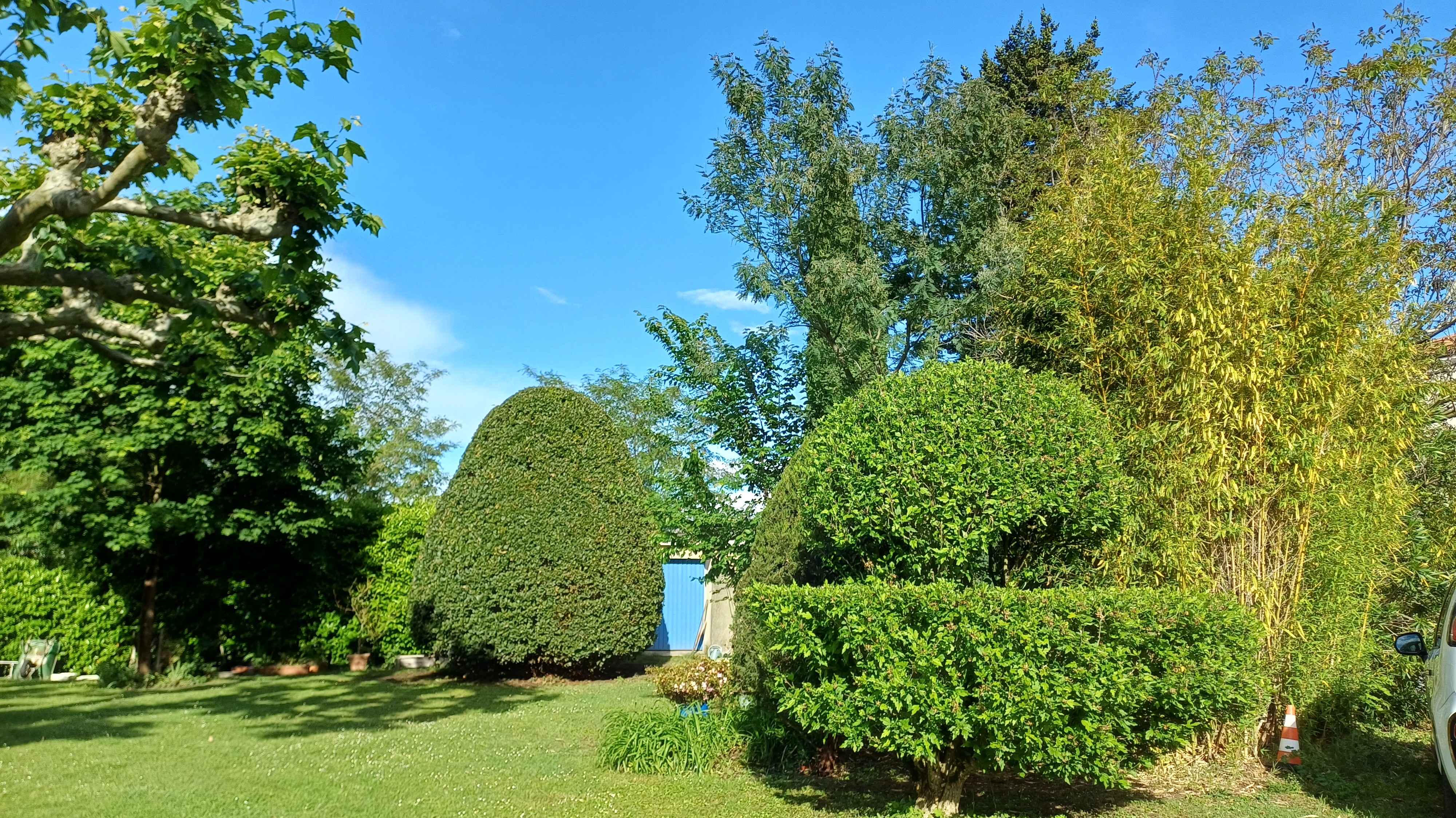 View of the garden