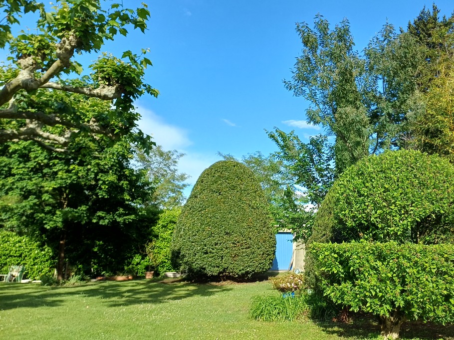 View of the garden