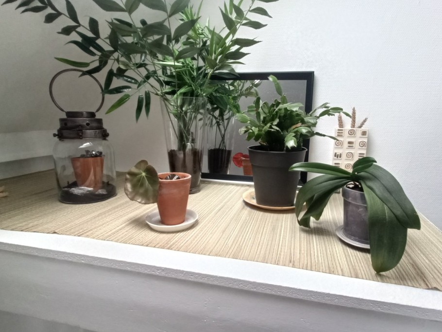 Photo n° 8 de la location